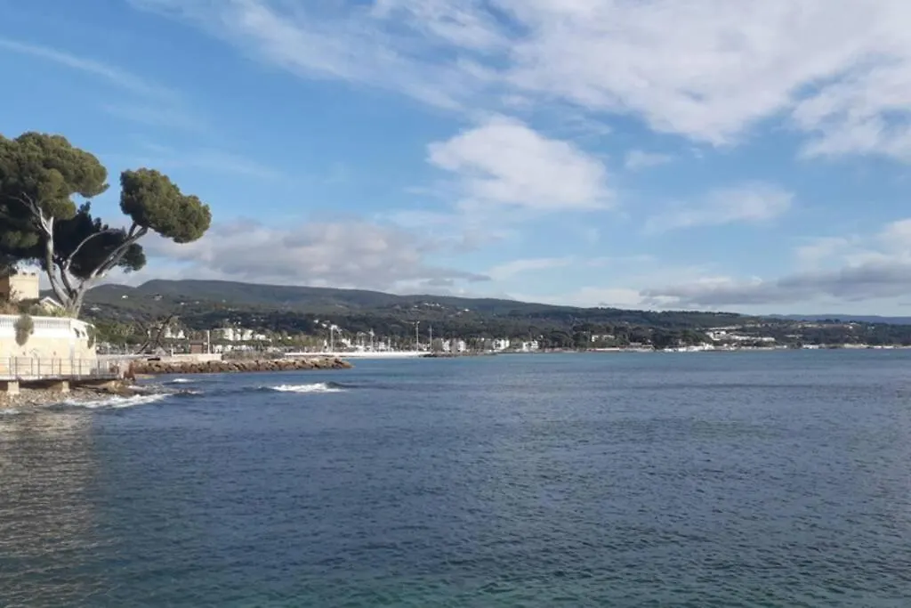 Appartement Avec Jardin A 200M De La Plage La Ciotat France
